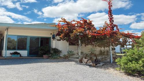 Eyre Peninsula House | Flinders Rest - Coastal Holiday Memories Start Here