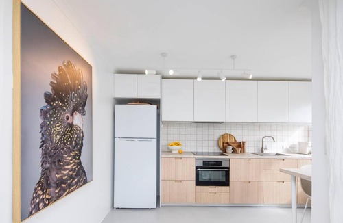 Surfers Paradise Apartment | Freddies Pet-Friendly Apt Steps to Beach
