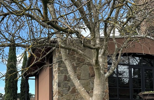 Red Hill Cottage | Frogs Pond Vineyard