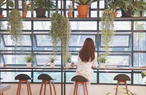 Noen Phra Hotel | Fun Hotel