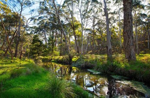 Glenlyon House | Gabion Hill