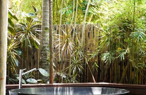 Byron Bay Cabin | Garden Burees