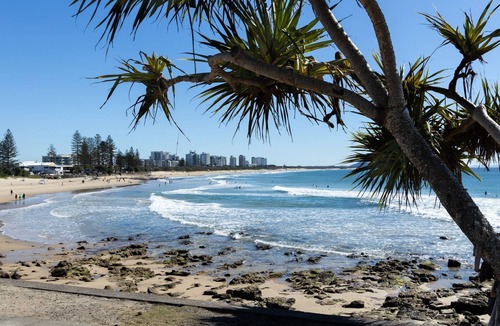 Buderim Apartment | Garden Zen, delightful 1 bedroom studio with garden views