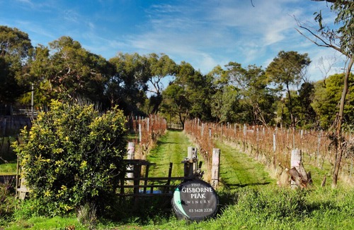 Gisborne House | Gisborne Peak Winery - Blue Gum Guest House
