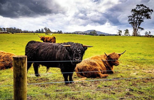 Barrington Bed & Breakfast | Glencoe Country B&B