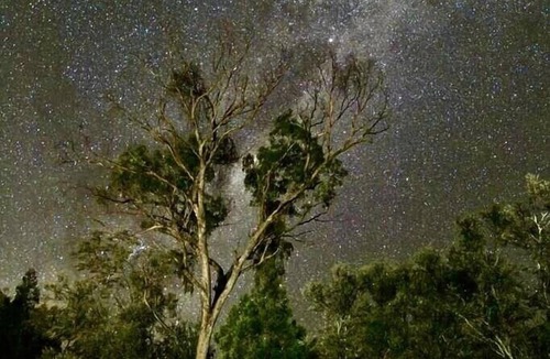 Glen Aplin House | Glenview Cottage Stanthorpe