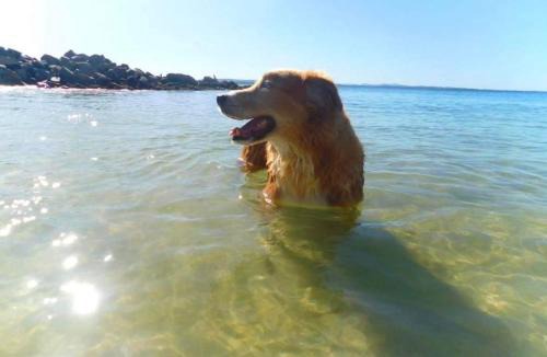 Nelson Bay House | Gloucester Retreat A, 23A Gloucester St - Pet Friendly, WiFi, Linen and Bed Making
