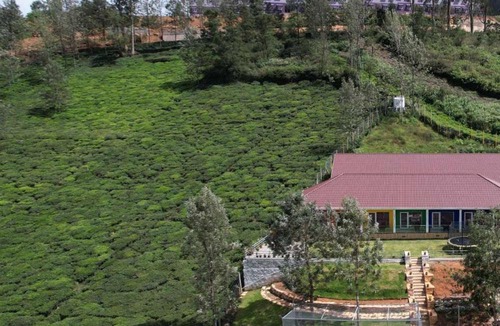 Kotagiri Hotel | GM Mountain View Resort