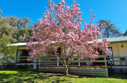 Beechworth Apartment | Golden Heritage Apartments Beechworth