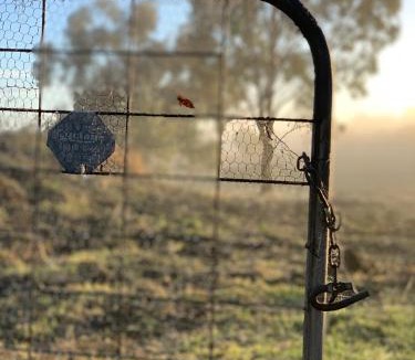 Grattai House | Grattai Grove Mudgee