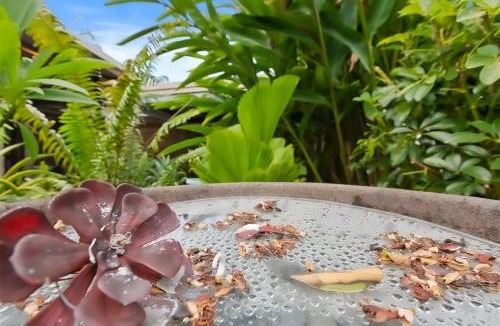 Trinity Beach House | Green Cottage Trinity Beach I Pet friendly I BBQ