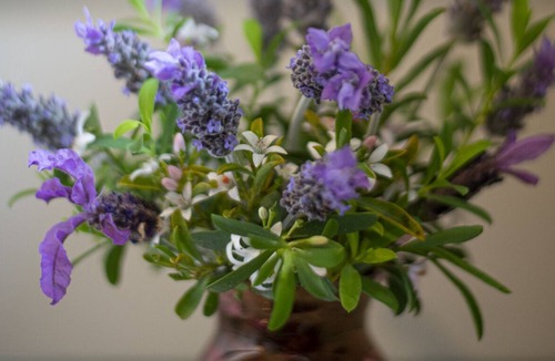 Grindelwald House | Grindelwald Holiday Cottage 1