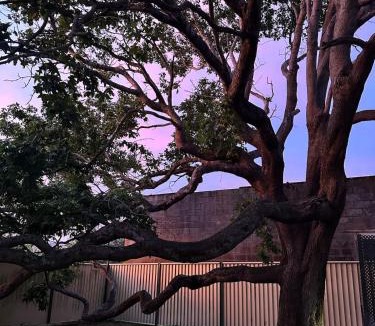 East Devonport House | Guest House in East Devonport