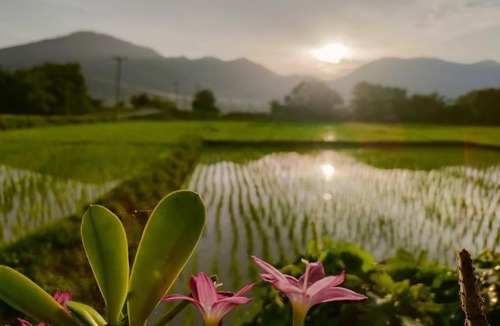 Phrao Hotel | Hamenameng