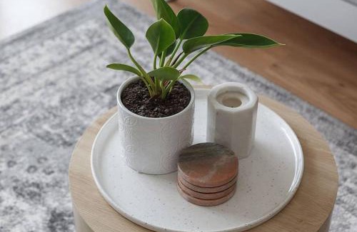 Ormond Apartment | Heart of Ormond Apartment by Ready Set Host