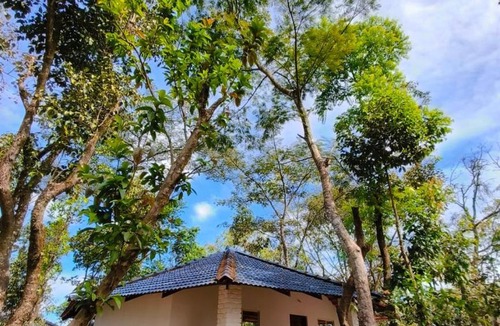 Sakleshpur Resort | Hidden Roots Sakleshpur