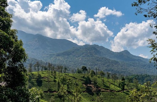 Kunnathidavaka Resort | Hill View Vythiri Holiday Home