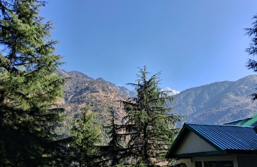 Dharamshala Hostel | Himalayan Hostel