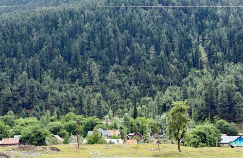 Gund Hotel | Himalayan Stay