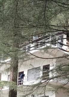 McLeod Ganj Hostel | Himalayan Triund Trekking and Mountain View