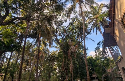 Devbag House | Hindlekar home stay