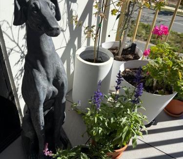 Googong Apartment | Home - Yard Apartment - Googong & Queanbeyan
