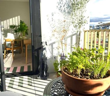 Googong Apartment | Home - Yard Apartment - Googong & Queanbeyan