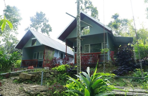 Udumbanchola Apartment | Honey hut.