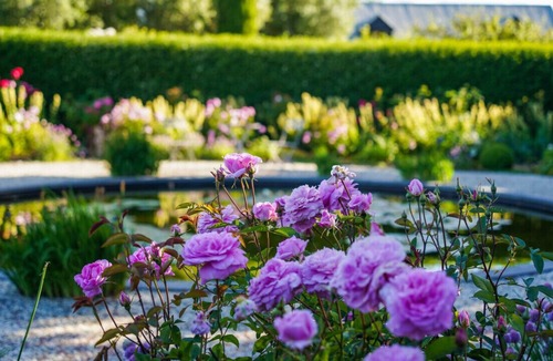 Kyneton House | Honeysuckle Barn and Garden in Kyneton