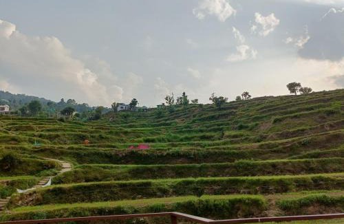 Narainkoti Hotel | Hotel pushpdeep