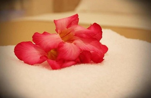Nilai Hotel | Hotel Seri Nilai