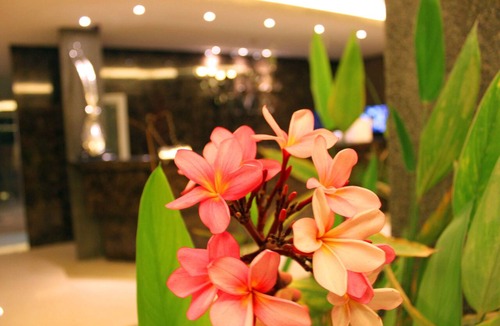 Nilai Hotel | Hotel Time Nilai