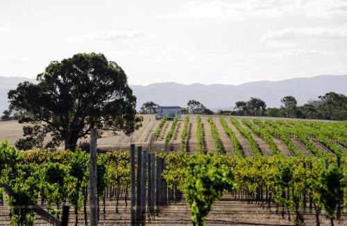 Rhymney Villa | Hounds Run Vineyard - Tiny House in the Grampians
