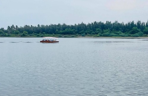 Kalapettai Resort | Jungles Eden Resort