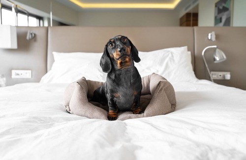 Double Bay Hotel | InterContinental Sydney Double Bay by IHG