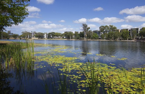 Thuringowa Central Apartment | Jacana Apartments