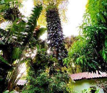 Bai Lan Resort | Kamrai Homestay
