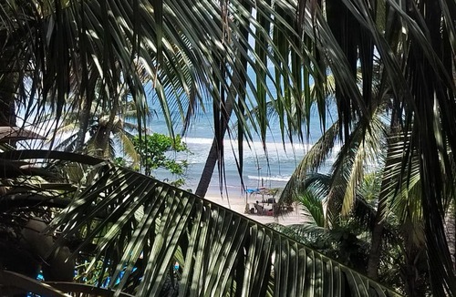 Arambol Apartment | Kumbaya Beachside Hostel & Rooftop Cafe