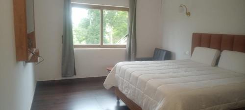 Yercaud Hotel | Leaves