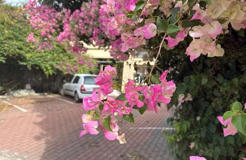 Rosewater House | Less pay for master room