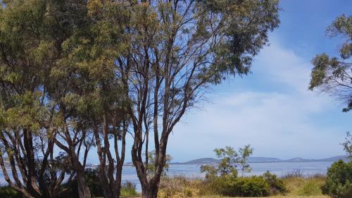 Robinson Resort | Lilacs Waterfront Villas & Cottages