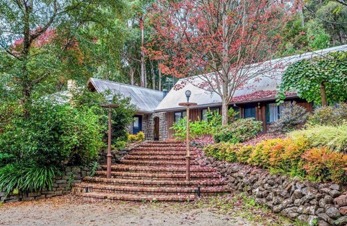 Emerald Cabin | Little Acorn - Sun-Kissed Forest Garden, Emerald