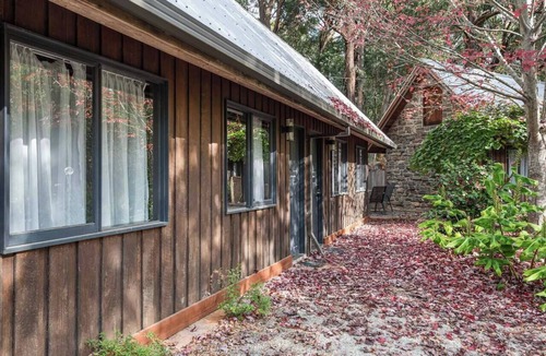 Emerald Cabin | Little Cherry - Sun-Kissed Forest Garden, Emerald