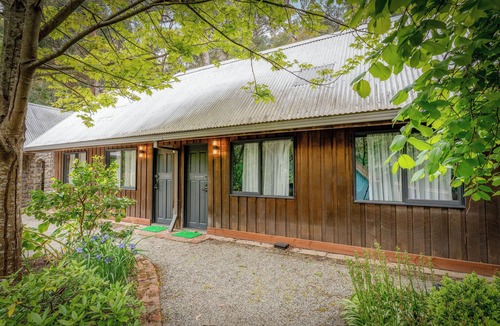 Emerald Cabin | Little Cherry - Sun-Kissed Forest Garden, Emerald
