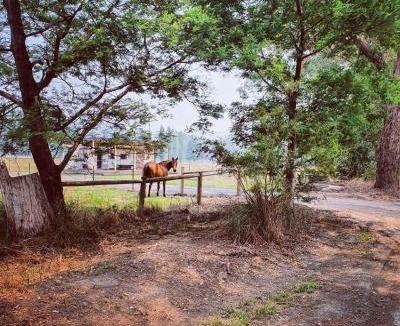 Yarra Junction Other | Little T