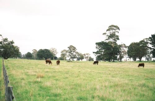 Longford House | Longford Cottage