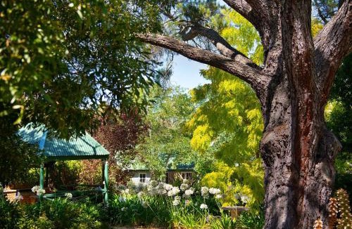 Hepburn Springs Apartment | Lucini Two -outdoor deck with bush views