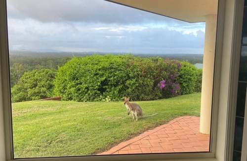 Cooroy House | Luxury Noosa Hinterland Home With 360 Degree Panoramic Views