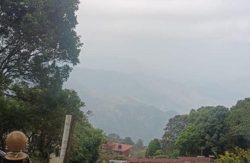 Vattakanal Villa | Mango Tree