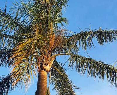Patterson Lakes Apartment | Marina Magic Getaways - Your Waterfront Retreat